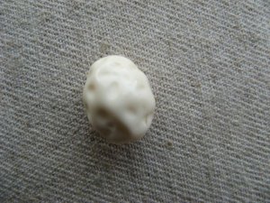 画像1: Vintage Cream Lucite POTATO Beads