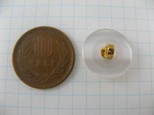 他の写真1: Plastic Pealescent/Gold Button