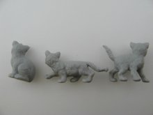 他の写真2: Miniature Cat 【Gray】