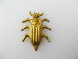 BRASS Bug【7】