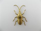 BRASS Bug【9】