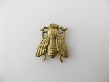 BRASS Bug【5】