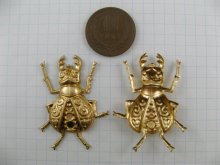 他の写真1: BRASS Bug【13】