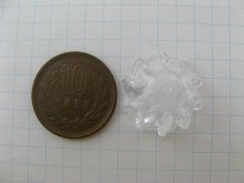他の写真1: Clear Plastic Flower Cap Beads 4個入り