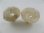 画像2: Plastic Stone-coin Ring Beads  (2)