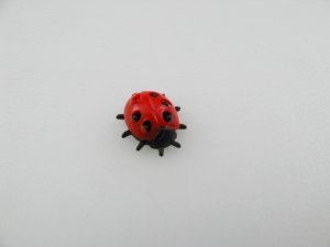 画像1: Ladybug