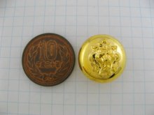 他の写真1: Vintage Plastic Gold Lion Button