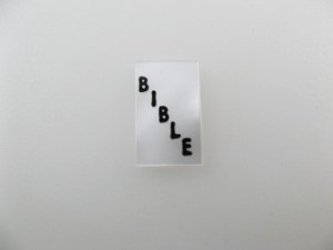 画像1: Vintage Plastic Faux MOP "BIBLE"