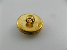 他の写真2: Plastic Round Gold Laurel Button