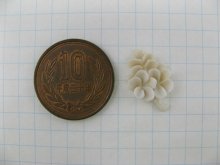 他の写真1: Vintage Chalk White Flower Cabochon