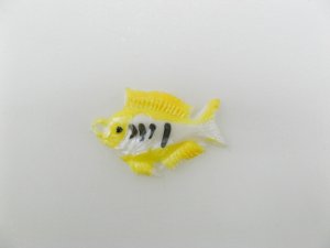 画像1: Vintage Fish "Yellow snapper"