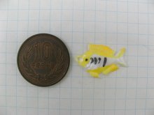 他の写真1: Vintage Fish "Yellow snapper"