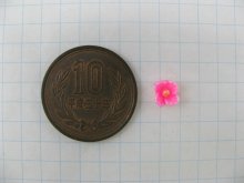 他の写真1: Vintage Tiny Pink Flower Cabs 