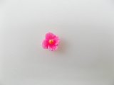 Vintage Tiny Pink Flower Cabs 