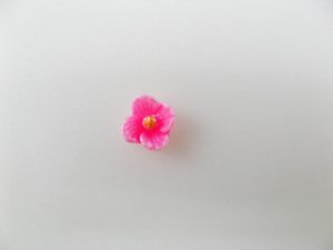 画像1: Vintage Tiny Pink Flower Cabs 