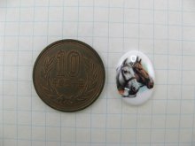 他の写真1: Vintage Plastic Horse Picture Cabochon 