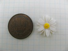 他の写真1: Vintage WH/Daisy Flower 19mm