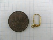 他の写真1: Pierce ”FLAT PAD” and Loop