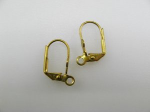 画像1: Pierce ”FLAT PAD” and Loop