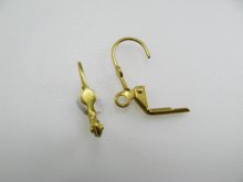 他の写真2: Pierce ”FLAT PAD” and Loop