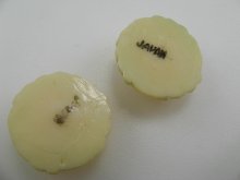 他の写真2: Vintage Plastic Japanese Flower CabochonII