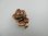 画像2: Vintage Plastic Copperplated Stemmed Rose cabochon (2)
