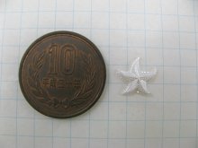 他の写真1: Vintage Plastic Pearlized Starfish Cabochon 2個入り
