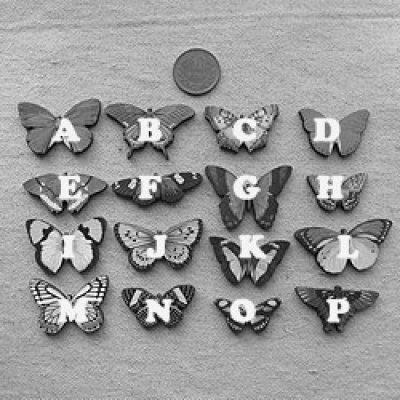 画像1: Print Wooden Charm Butterfly  