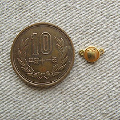 画像1: Vintage Small Enameled Apple Connector