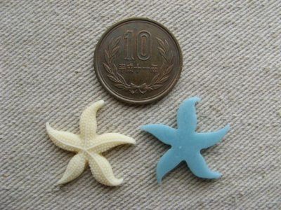 画像1: Resin Starfish Cabs