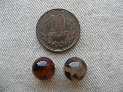 画像1: Plastic Tortoise Round ball Beads 12mm 2個入り