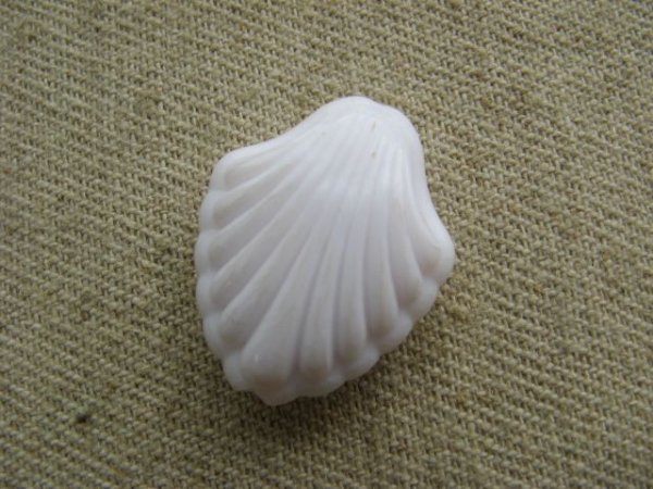 画像1: Vintgae White Shell Acrylic Beads  (1)