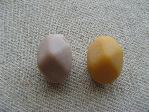 画像1: Vintage Mat Faux Stone Beads【Mini】 (1)