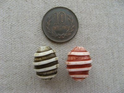 画像1: Vintage Acrylic Tribal Oval Beads