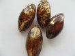 画像2: Vintage Plastic Tortoise/Gold Striae Oval Beads (2)