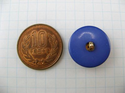 画像1: Vintage Plastic Blue+Floral Button