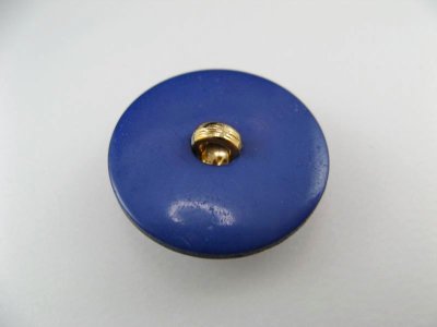画像2: Vintage Plastic Blue+Floral Button