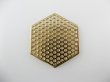 画像1: Goldplated Hexagon Frame (1)