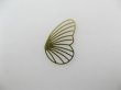 画像1: Brass Plate Butterfly Wing 2個入り (1)