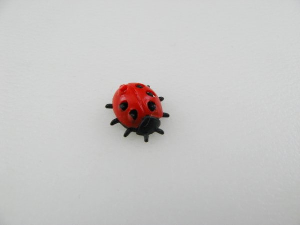 画像1: Ladybug (1)