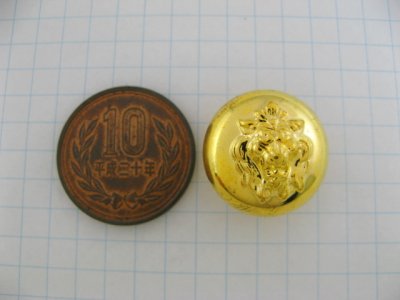 画像1: Vintage Plastic Gold Lion Button