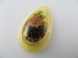 画像2: Vintage Plastic Ivory Flower Pear Cabochon (2)