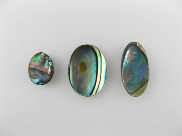 画像1: M.O.P Abalone Cabochon 2個入り (1)