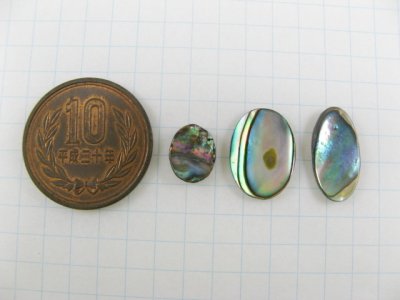 画像1: M.O.P Abalone Cabochon 2個入り